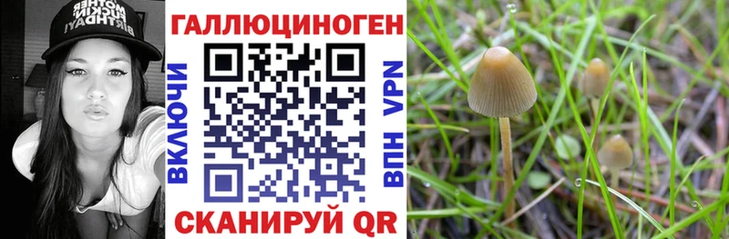 Псилоцибиновые грибы MAGIC MUSHROOMS  Бологое 